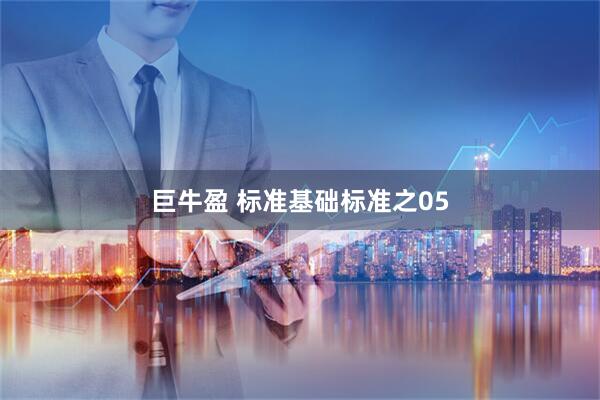 巨牛盈 标准基础标准之05