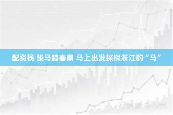 配资栈 骏马踏春潮 马上出发探探浙江的“马”